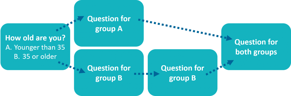 survey question type - skip logic explained