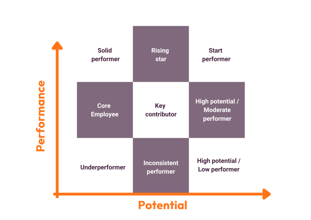 9 box assessment template grid