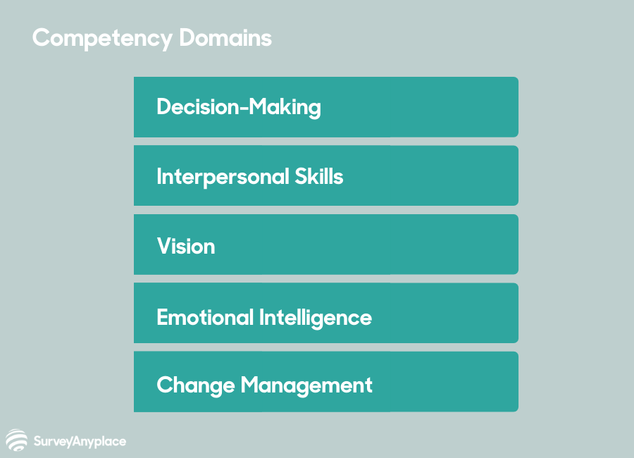 Competency domains
