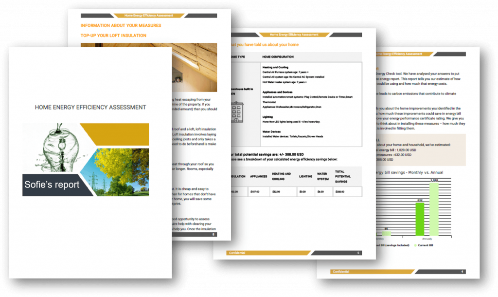 Individualized assessment report