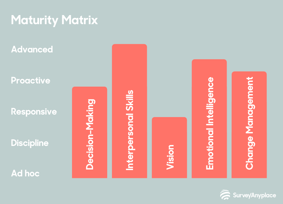 Maturity Matrix