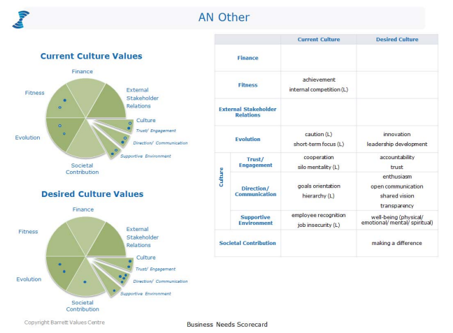 Measuring Culture in Leading Companies